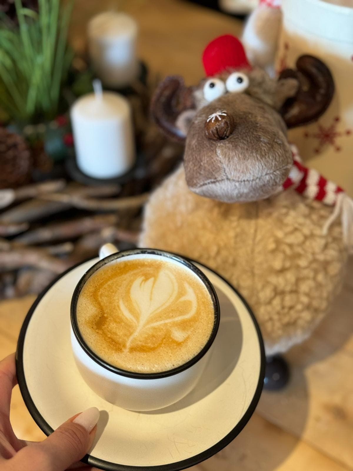 Restaurant Platoul Soarelui - 14